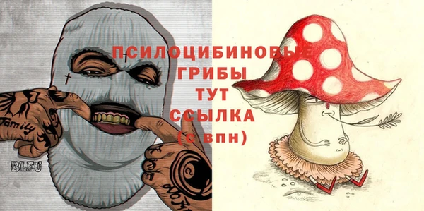 бошки Краснослободск