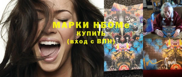 бошки Краснослободск