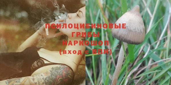 не бодяженный Краснотурьинск