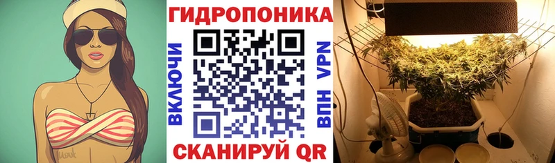 Купить где  Волгореченск  Бошки марихуана гибрид 